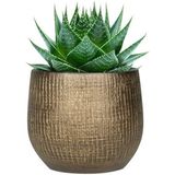 Steege Plantenpot - modern design - goudkleurig - 20 x 22 cm