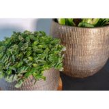 Steege Plantenpot - modern design - goudkleurig - 20 x 22 cm