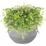 Steege Plantenpot - moderne look - wit grijs - 18 x 16 cm