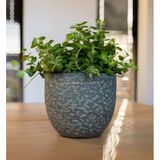 Ter Steege - Plantenpot Lava Stone - Groen - Keramiek - D25 x H23 cm