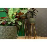 Ter Steege - Plantenpot Lava Stone - Groen - Keramiek - D25 x H23 cm
