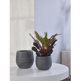Steege Plantenpot - moderne look - zwart - 31 x 28 cm
