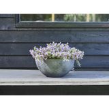 Ter Steege Bloempot/plantenpot schaal - kunststof - donkergrijs - D35 x H17 cm