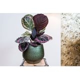 Ter Steege Plantenpot/bloempot - keramiek - metallic donkergroen/touch of gold - D32/H30 cm