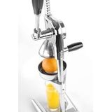 Citruspers - Hevelmodel - RVS - Verchroomd