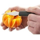 Dunschiller - RVS - Zwart