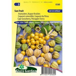 Ananaskers zaden - Sun Fruit