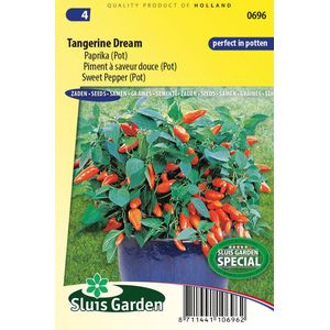 Sluis Garden - Potpaprika Tangerine Dream - ca. 10 zaden