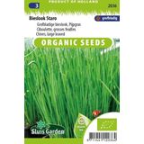 Sluis Garden - Bieslook Staro Biologisch (Allium schoenoprasum)