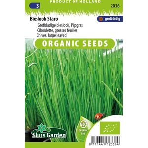 Sluis Garden - Bieslook Staro Biologisch (Allium schoenoprasum)