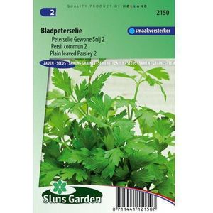 Sluis Garden - Peterselie Gewone Snij 2