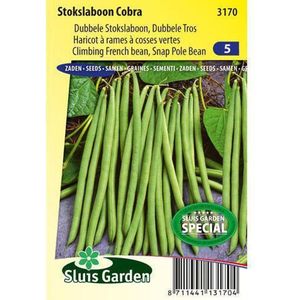 Sluis Garden - Stokslaboon Cobra