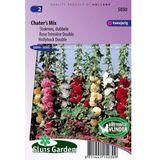 Sluis Garden - Stokroos Double Chater's Mix (Alcea rosea)