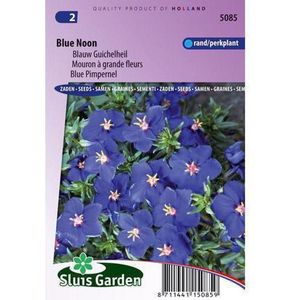 Sluis Garden Blauw Guichelheil Blue Noon