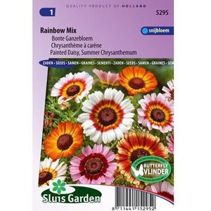 Sluis Garden - Margriet Rainbow Mixed (Bonte Ganzebloem)