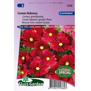 Cosmea Grootbloemig bloemzaden - Cosmos Rubenza