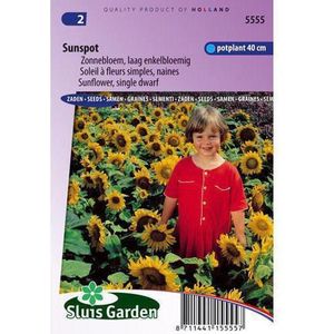 Sluis Garden - Zonnebloem Sunspot, laag (Helianthus)
