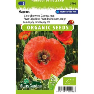 Sluis Garden - Papaver Red Corn Poppy (Klaproos)