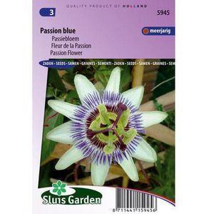 Passiebloem bloemzaden &ndash; Passion Blue