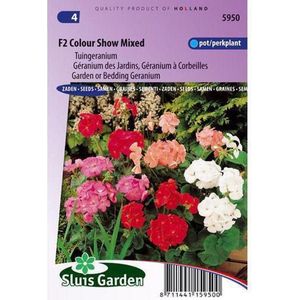 Sluis Garden - Tuingeranium F2 Colour Show Mix