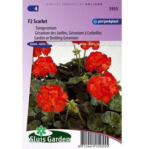 Sluis Garden - Tuingeranium F2 Rood