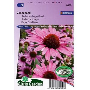 Sluis Garden - Zonnehoed purpurea (Echinacea)