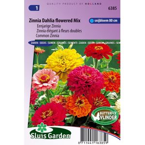 Zinnia - Dahliabloemige Reuzen - Zaden - Inhoud 100 Stuks