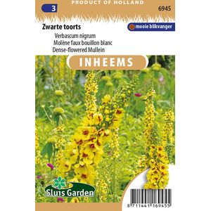 Sluis garden - Inheemse bloemenzaden - Zwarte toorts - geproduceerd in Nederland