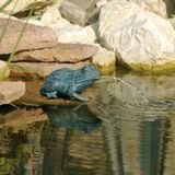 Ubbink - Kikker (klein) - Spuitfiguur - waterornament - vijverdecoratie