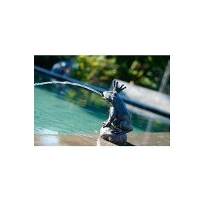 Ubbink Tuinfontein Kikkerkoning - Sfeervolle waterfontein voor in de tuin