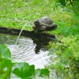 Ubbink - Schildpad - Spuitfiguur - waterornament - vijverdecoratie