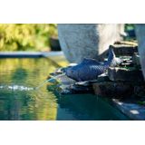 Ubbink - Vis XL - Spuitfiguur - waterornament - vijverdecoratie