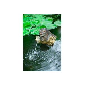 Ubbink - Drijvende Otter - Spuitfiguur - Waterornament - Vijverdecoratie