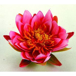 Ubbink drijfbloem waterlelie roze D 16 H 7,5 cm