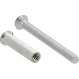 Patentbout - Vernikkeld - M4 x 38 mm - Duurzame Bevestiging