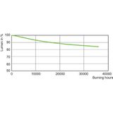 Master - SON-T PIA Plus - Hogedruknatriumdamplamp - Warmwit Licht - E40-fitting
