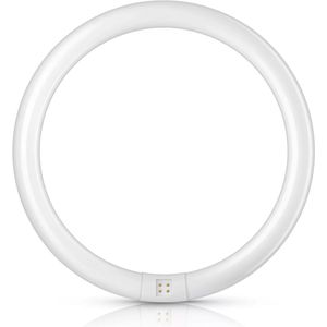 Philips TL-E Circular Spaarlamp - 32W - Koel Wit Licht - Niet Dimbaar