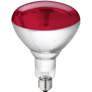 Philips - Incandescent reflector lamp Gloeilamp 871150057520325