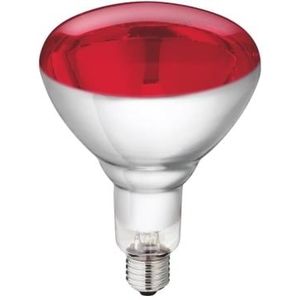 Philips - BR125 - Infraroodlamp - Rood Licht - 250W - 230V