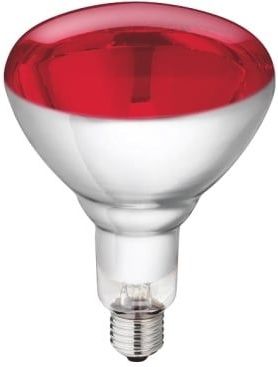 Philips - BR125 - Infraroodlamp - Rood Licht - 250W - 230V