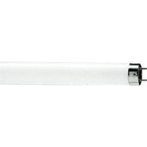 Philips Tl-lamp Tl-d Warm Wit G13 30,2w | Lichtbronnen