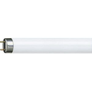 Philips TL-D buis