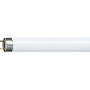 Philips Lighting TL-lamp Energielabel: A (A++ - E) G13 58.5 W N/A Buis (Ø x l) 28 mm x 1514.2 mm Dimbaar 1 stuk(s)