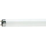 Philips Tl-lamp Tl-d Warm Wit G13 59,4w