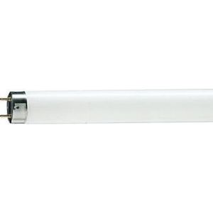 Philips TL-D buis fluorescente lamp 58W G13 Wit