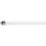 Philips Lighting TL-lamp Energielabel: A (A++ - E) G5 7.1 W N/A Buis (Ø x l) 16 mm x 288 mm Dimbaar 1 stuk(s)