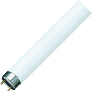 Philips | TL lamp | G13 fitting | TL-buis | 60cm | 18.2W