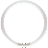 MASTER - TL5C Circulair - Lamp - Warm Wit - 22W - 23cm