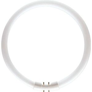 MASTER - TL5C Circulair - Lamp - Warm Wit - 22W - 23cm