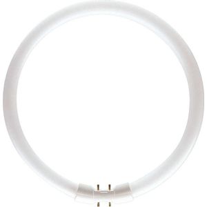 MASTER - TL5C Circulair - Lamp - Warm Wit - 22W - 23cm